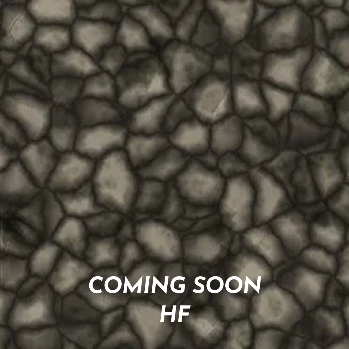 Coming Soon HF